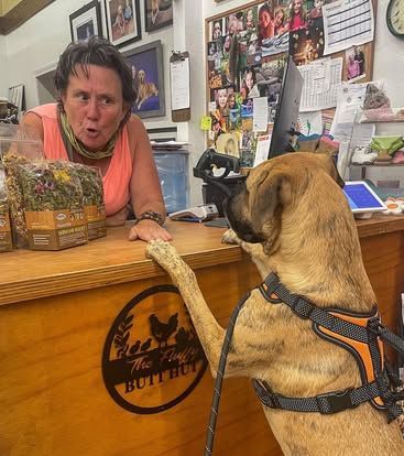 A woman and a dog are standing at a counter in a store.