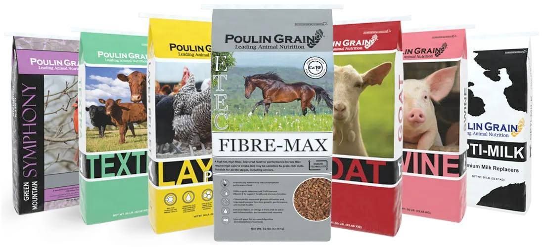 A group of bags of animal food are lined up next to each other.