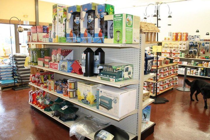 A dog is standing in a store next to a shelf full of products.
