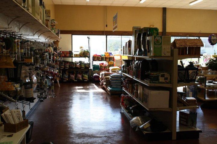 The inside of a store with shelves filled with lots of items.