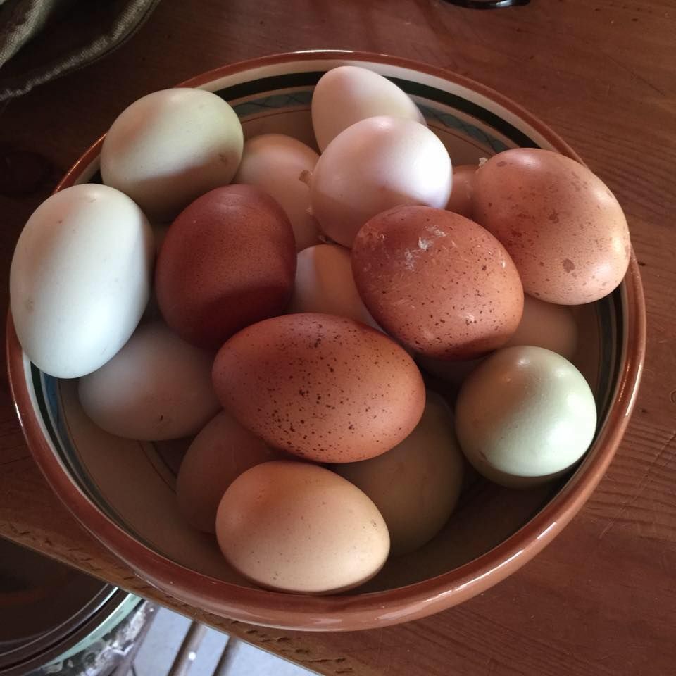 A bowl filled with brown and white eggs on a table