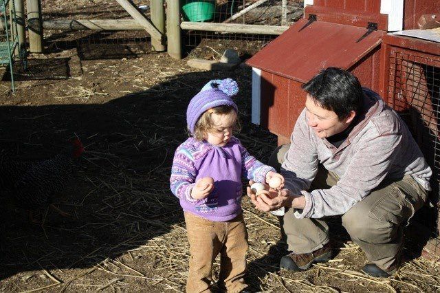 A man and a little girl are holding eggs in front of a chicken coop