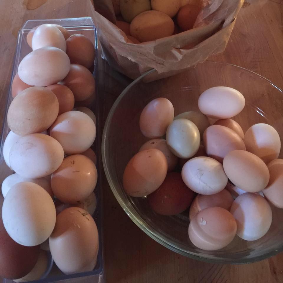 A bowl of eggs sits next to a bag of eggs