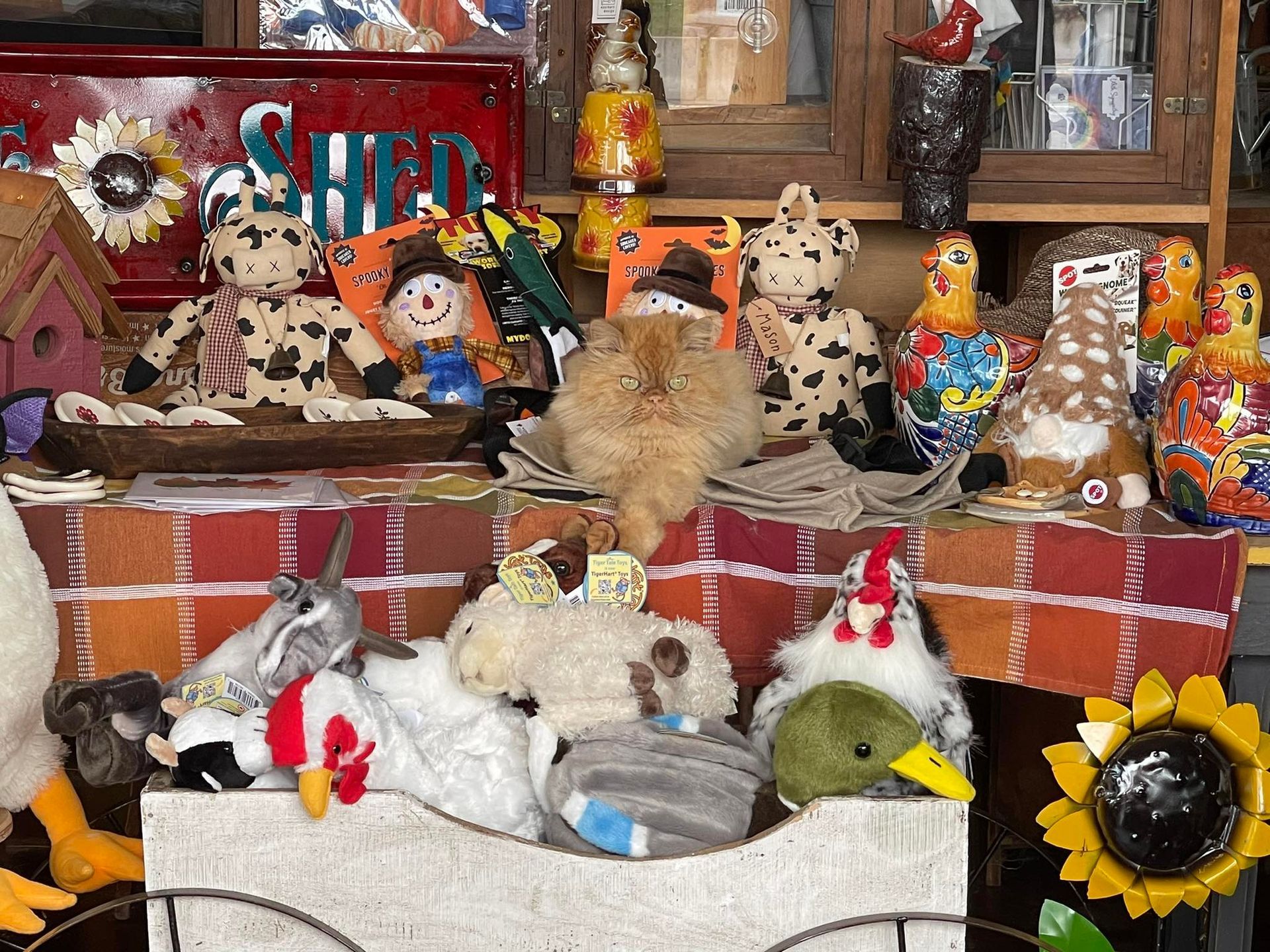 A bunch of stuffed animals are sitting on a table.