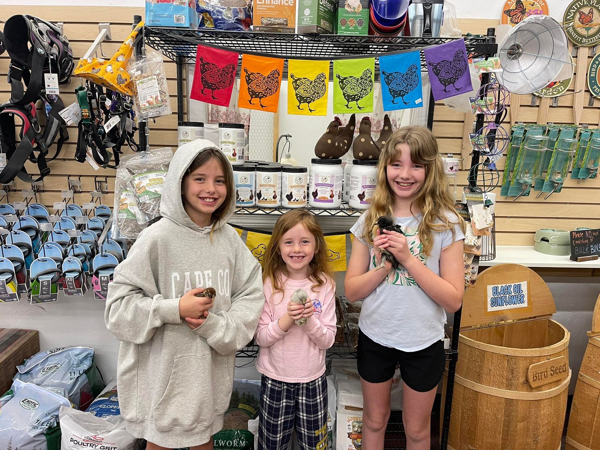 Three young girls are standing next to each other in a store.