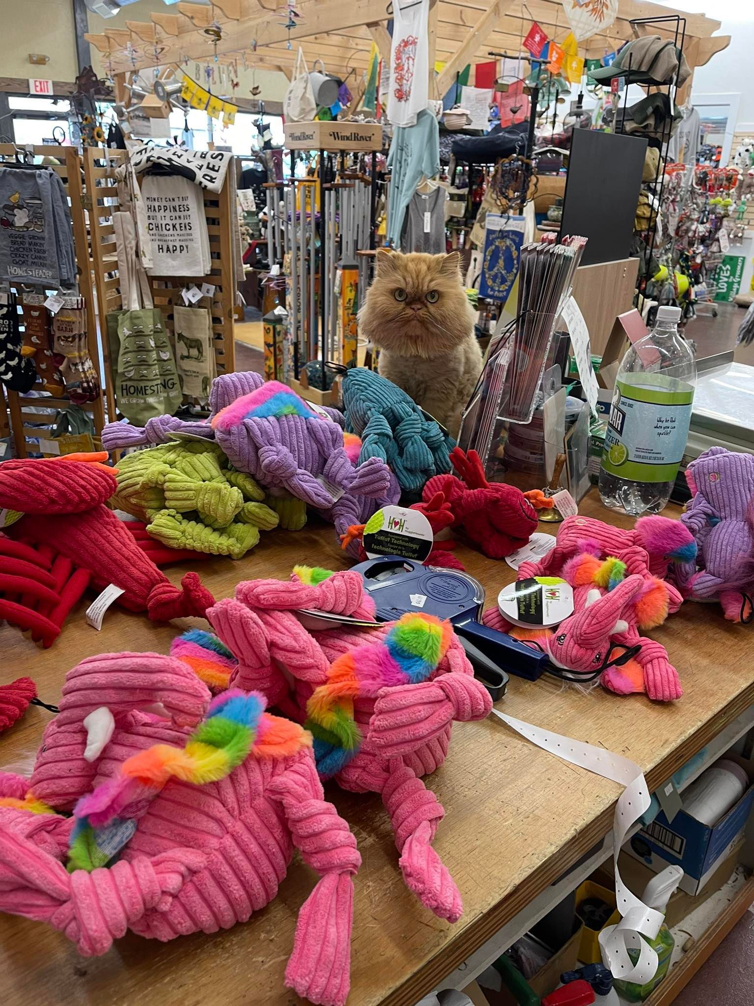 A cat is sitting on top of a table filled with toys.