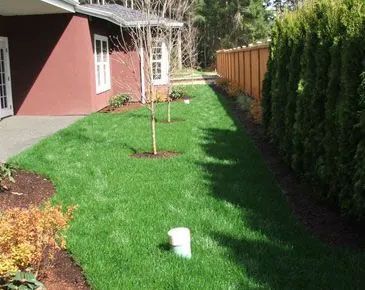 A lush green lawn in front of a house with a wooden fence.
