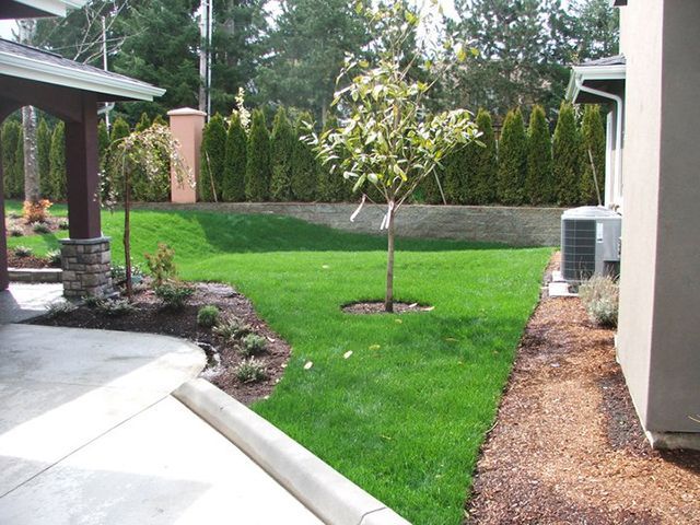 A lawn with a tree in the middle of it
