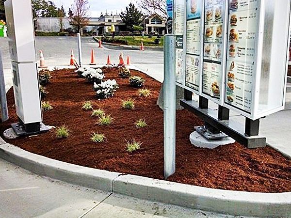A drive thru is surrounded by a lush green garden