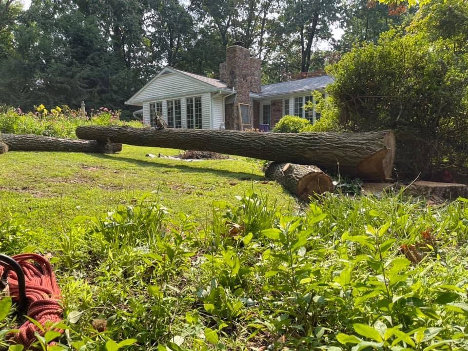 Storm-damaged tree trunk lying across a lawn in front of a white house with a brick chimney