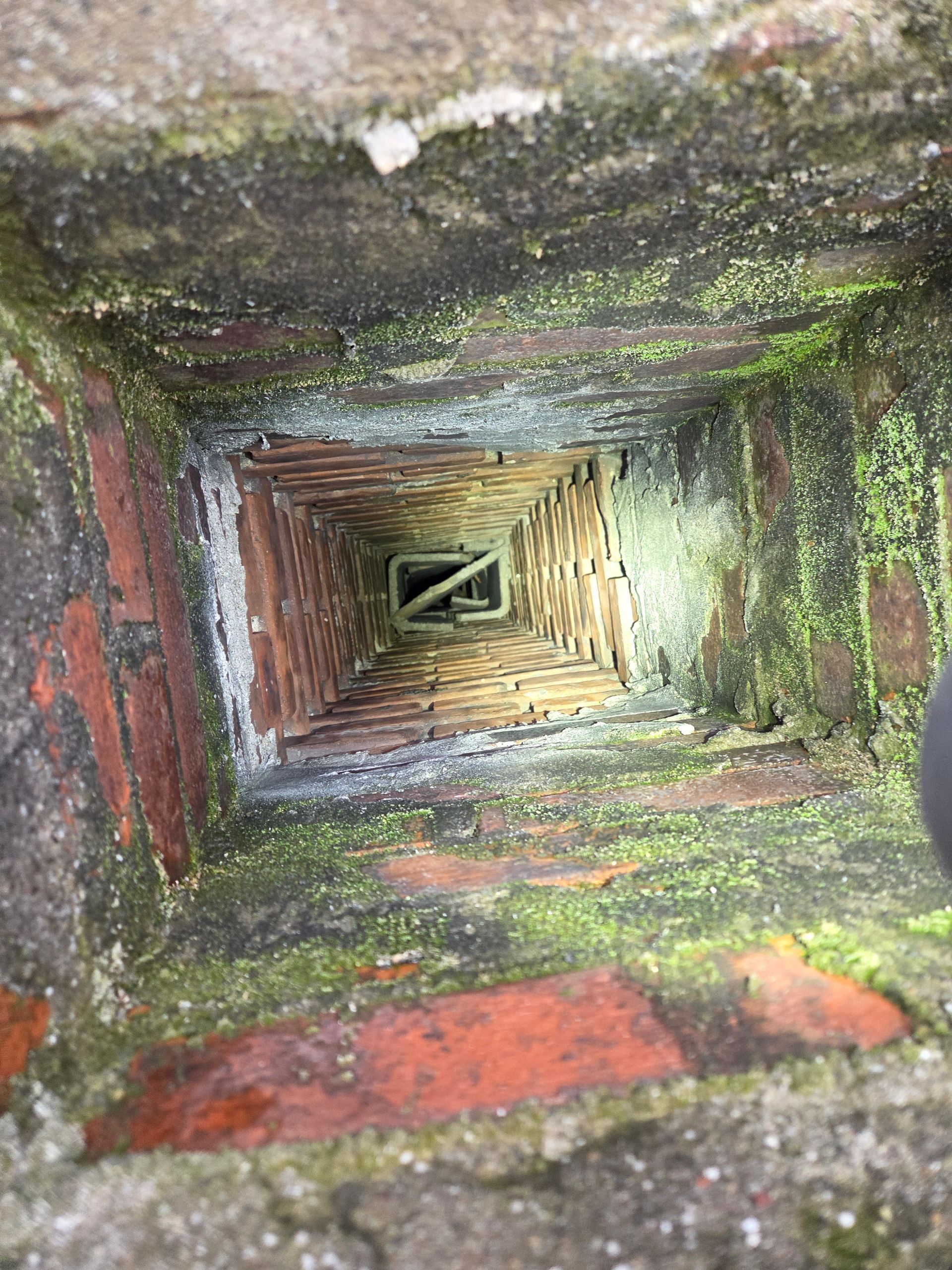Looking down a brick chimney, with moss and white residue visible.