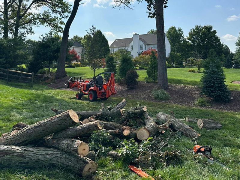A pile of logs in a yard with a tractor in the background.