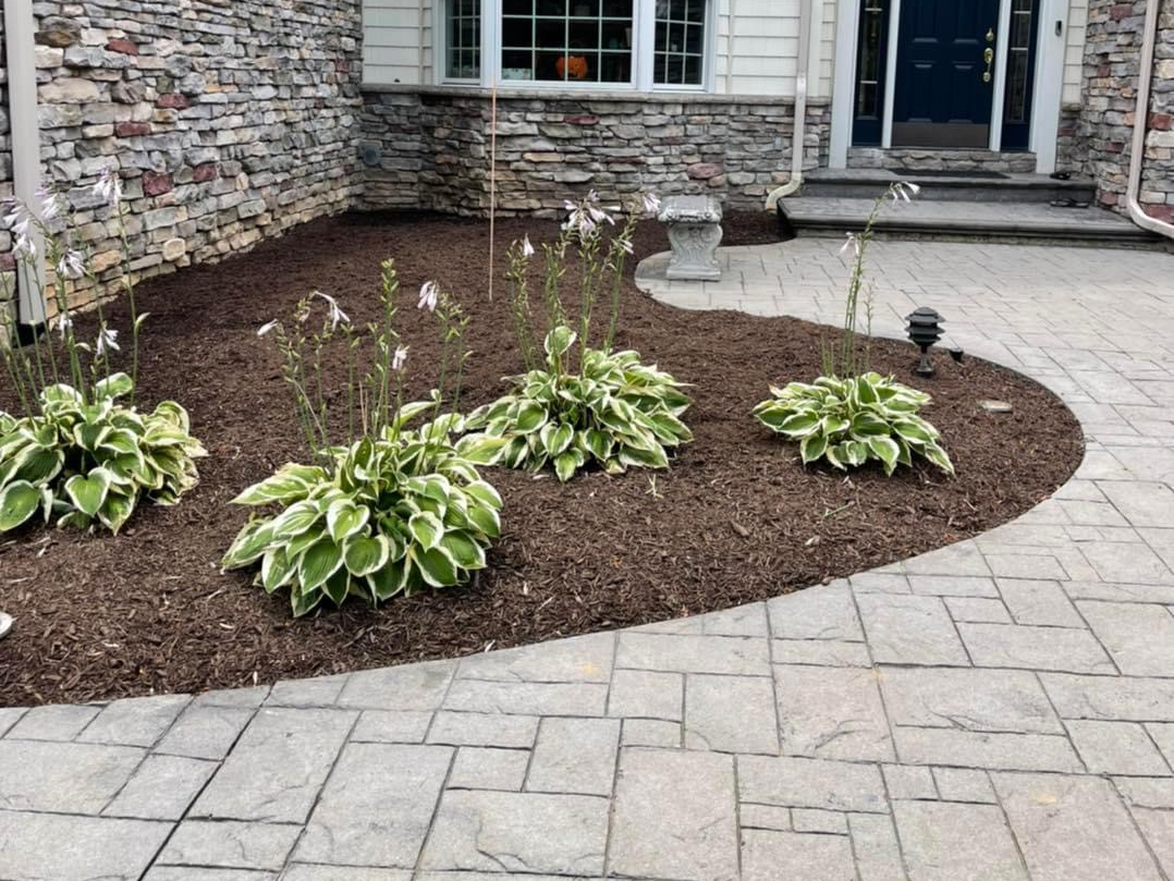 A patio with plants and mulch in front of a brick house.