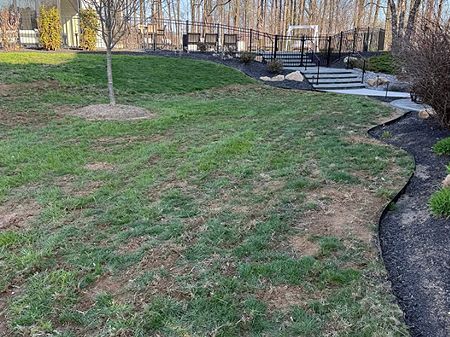 A unmaintained lawn with old sod appears patchy, weedy, and faded.