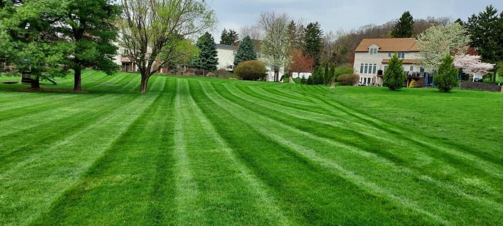 A lush green field of grass with a house in the background.
