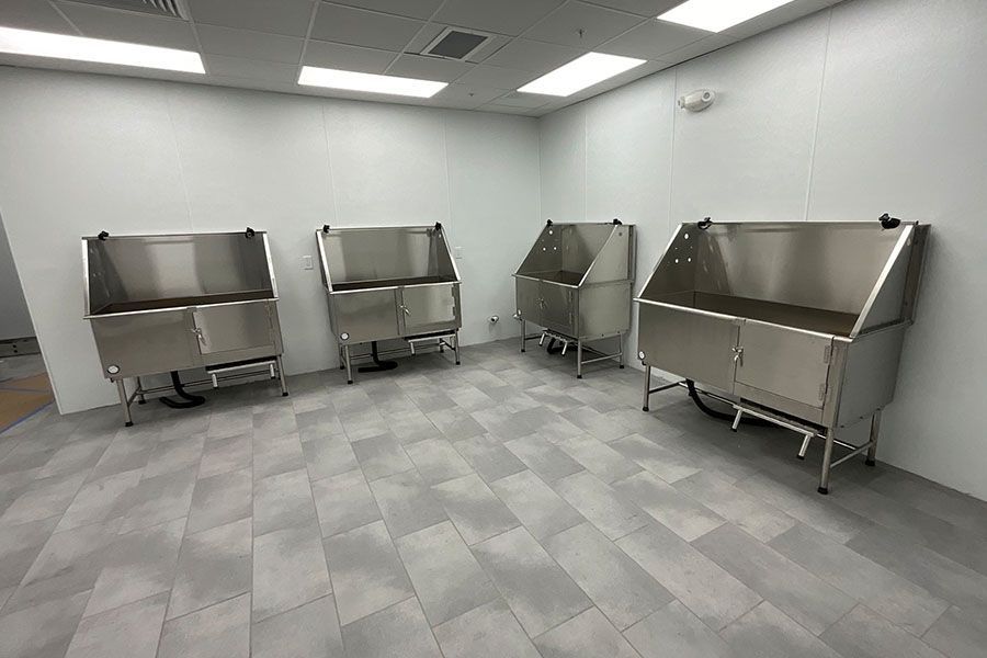 A room with three stainless steel sinks in it.