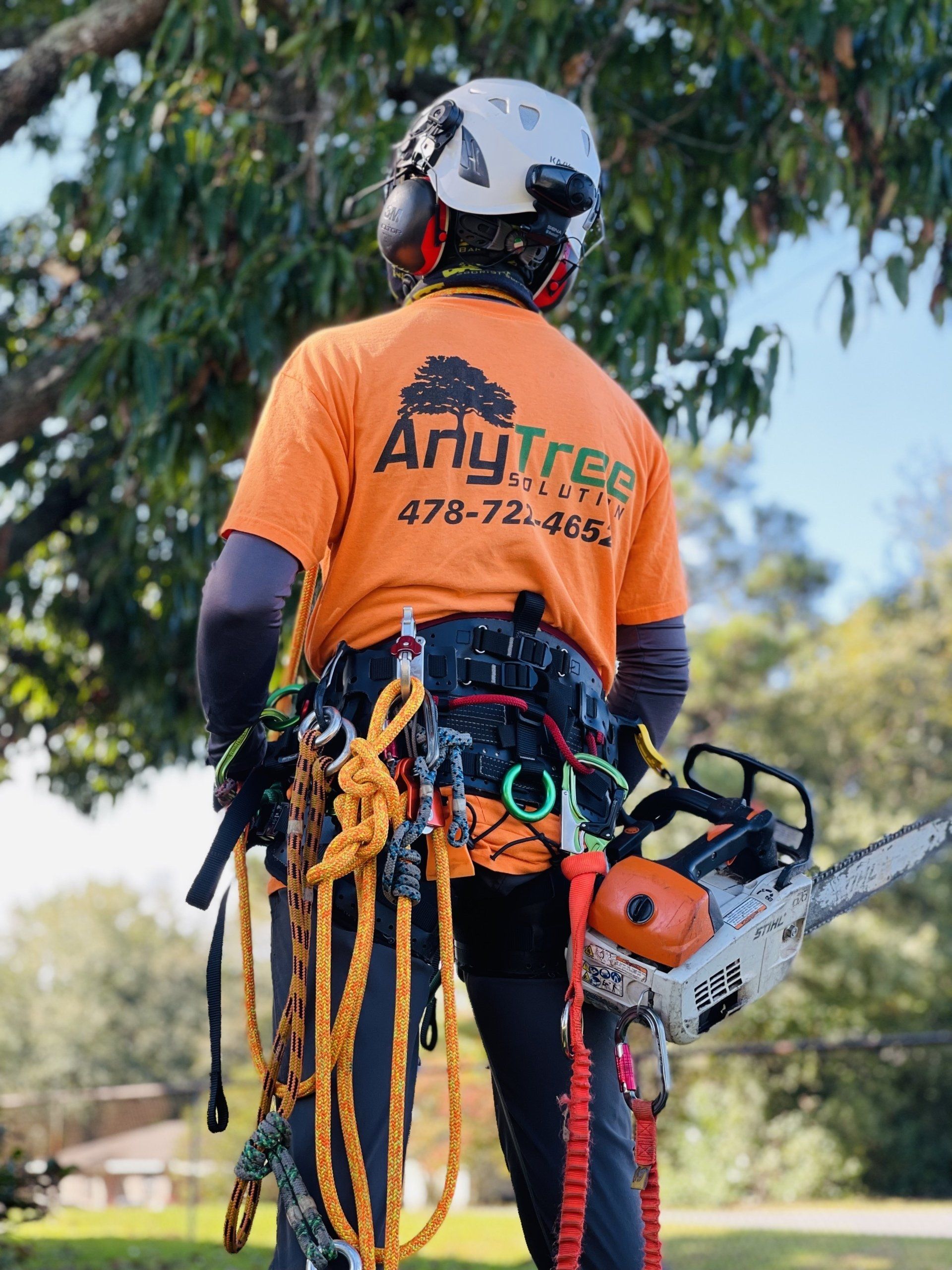 AnyTree Solution Tree Service Warner Robins, GA