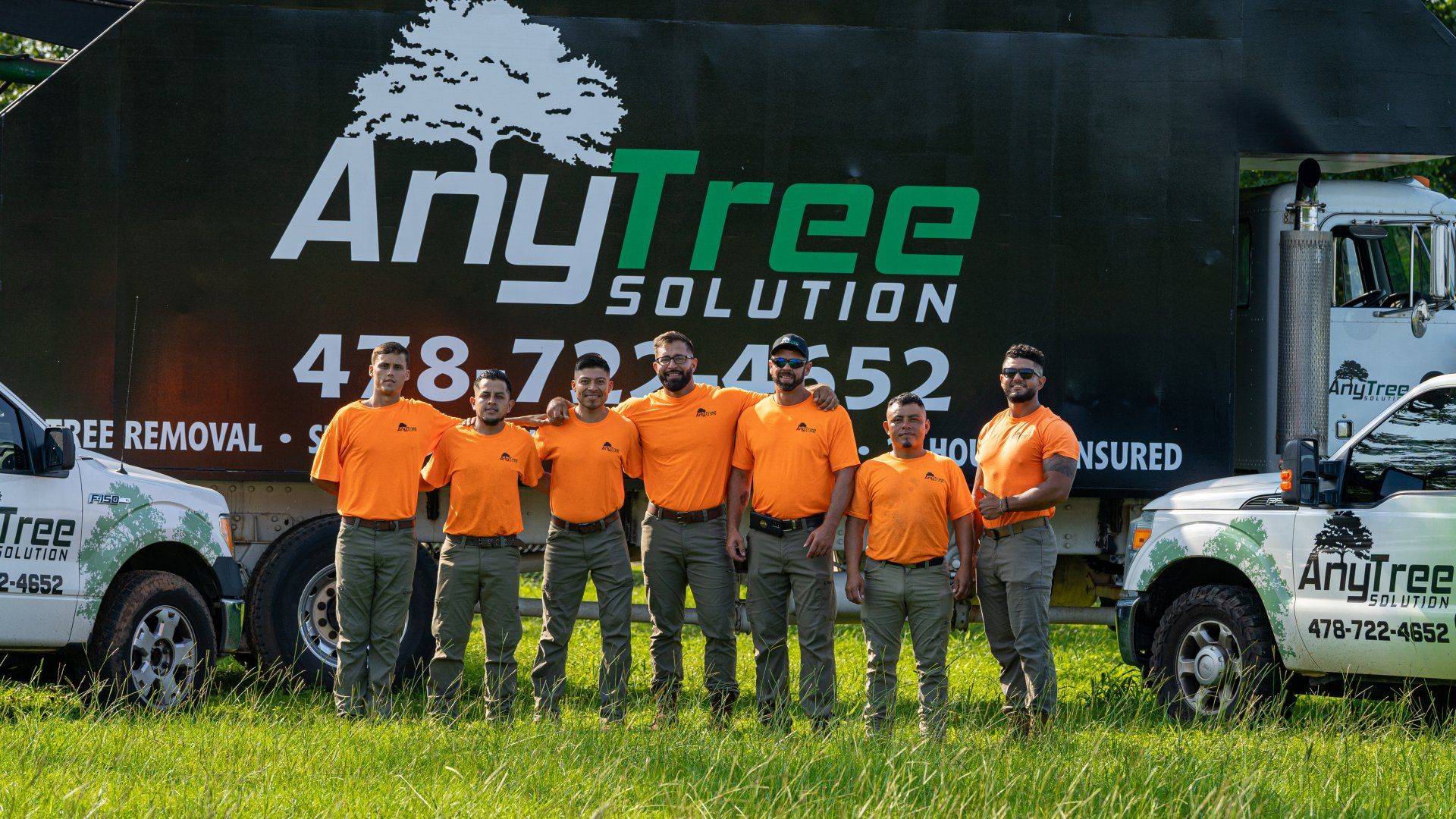 AnyTree Solution Tree Service Warner Robins, GA