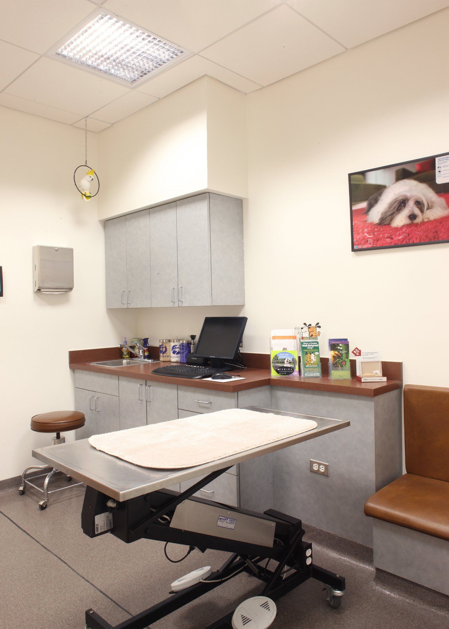 Gambrills Veterinary Center Photo Gallery