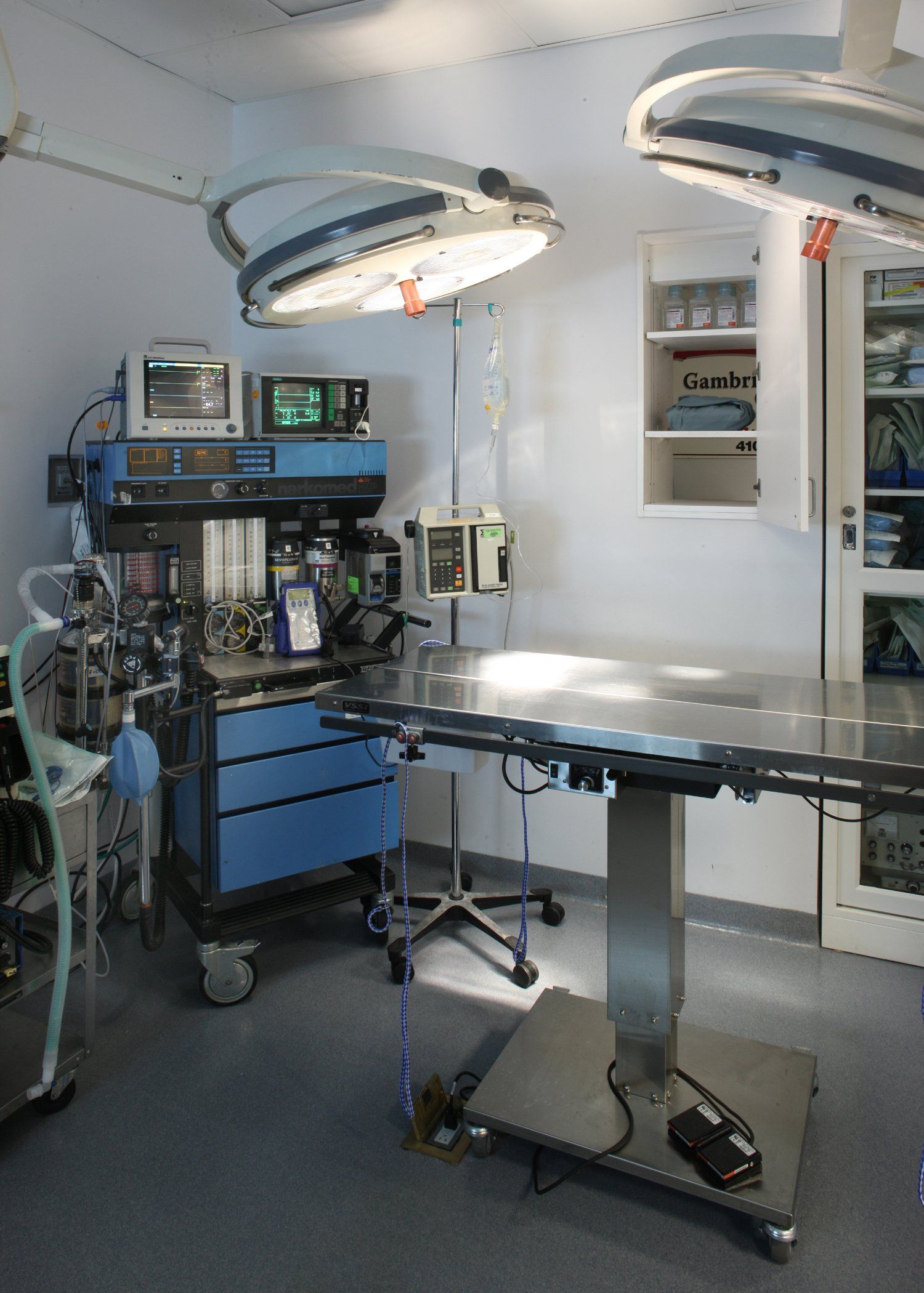 Gambrills Veterinary Center Photo Gallery