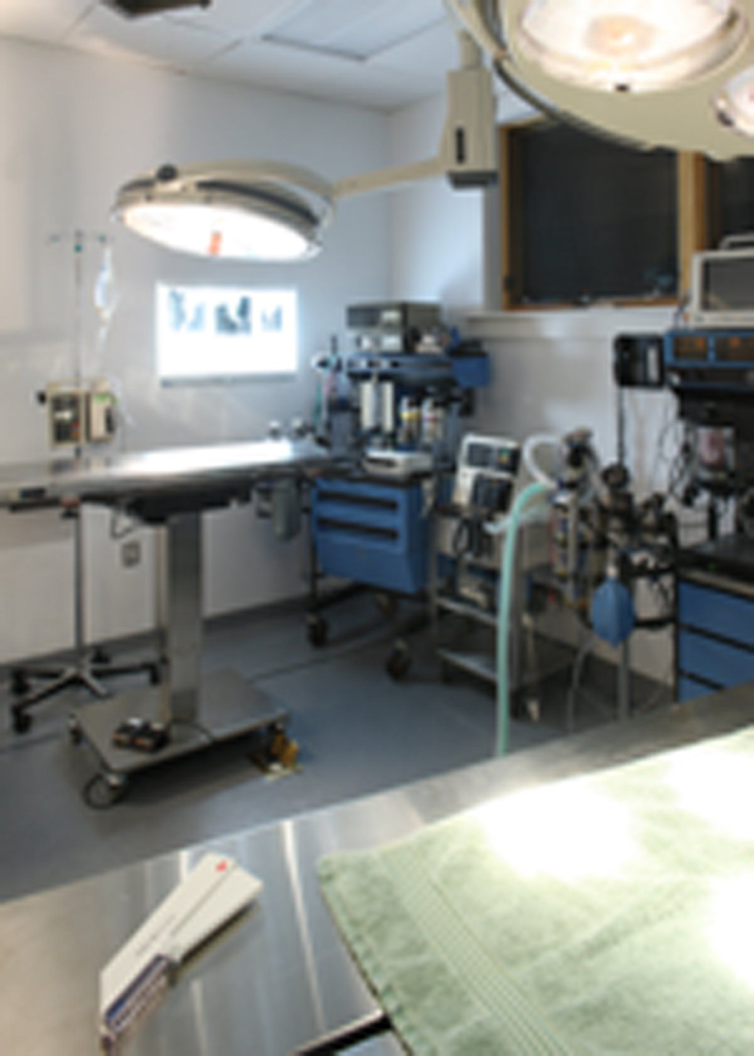 Gambrills Veterinary Center Photo Gallery