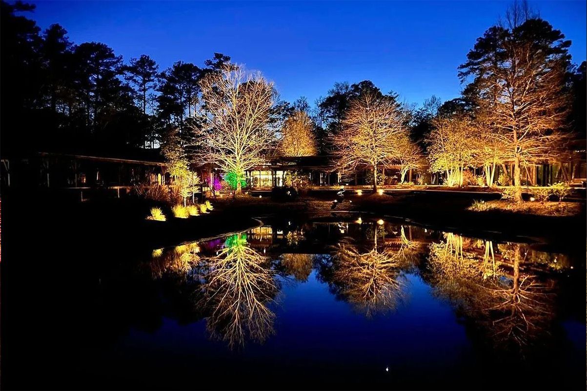 Nighttime pond reflecting illuminated autumn trees