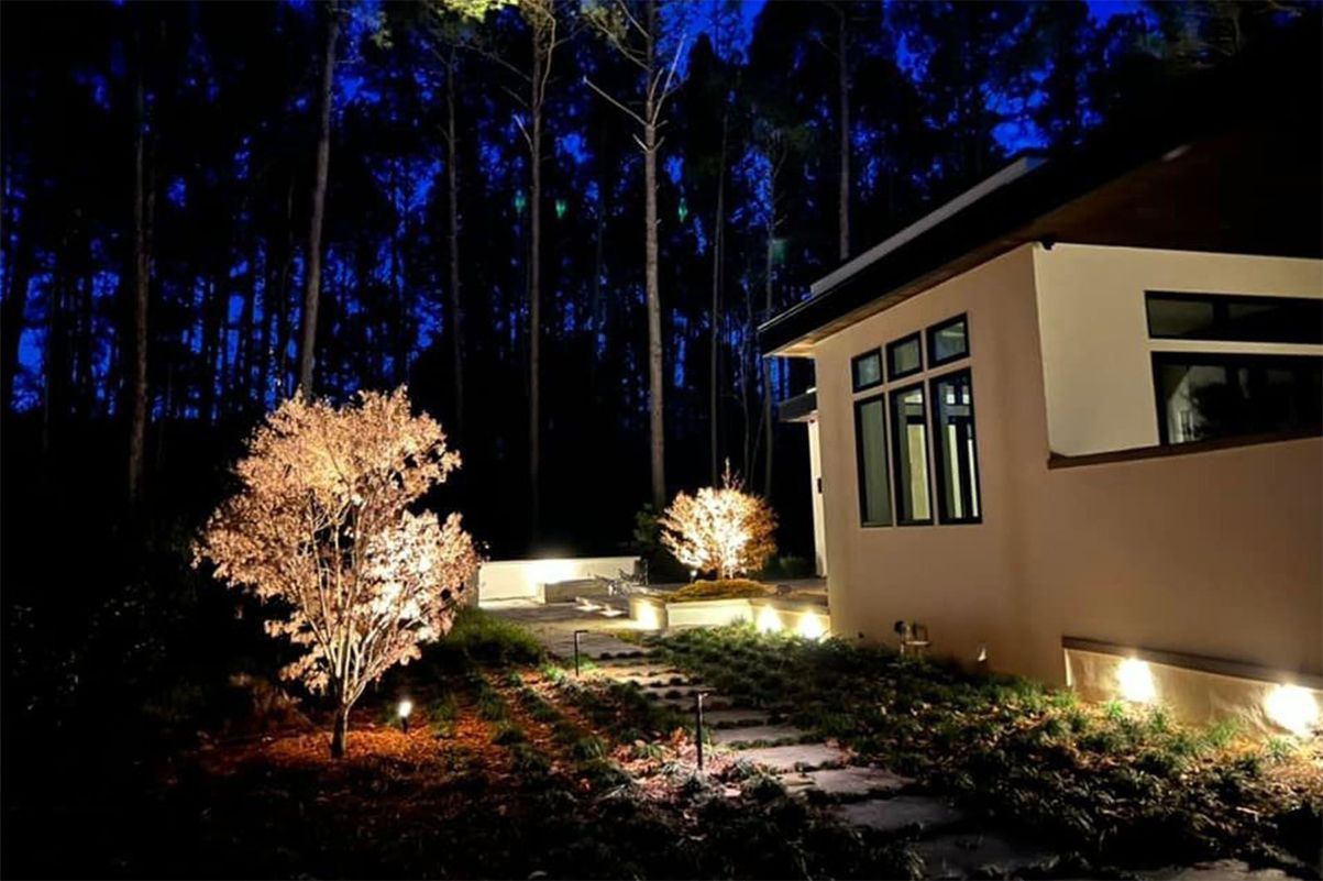 Night-lit house exterior with illuminated shrubs and tall trees in the background