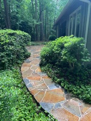 Stone path through lush green garden beside a dark cabin in the woods