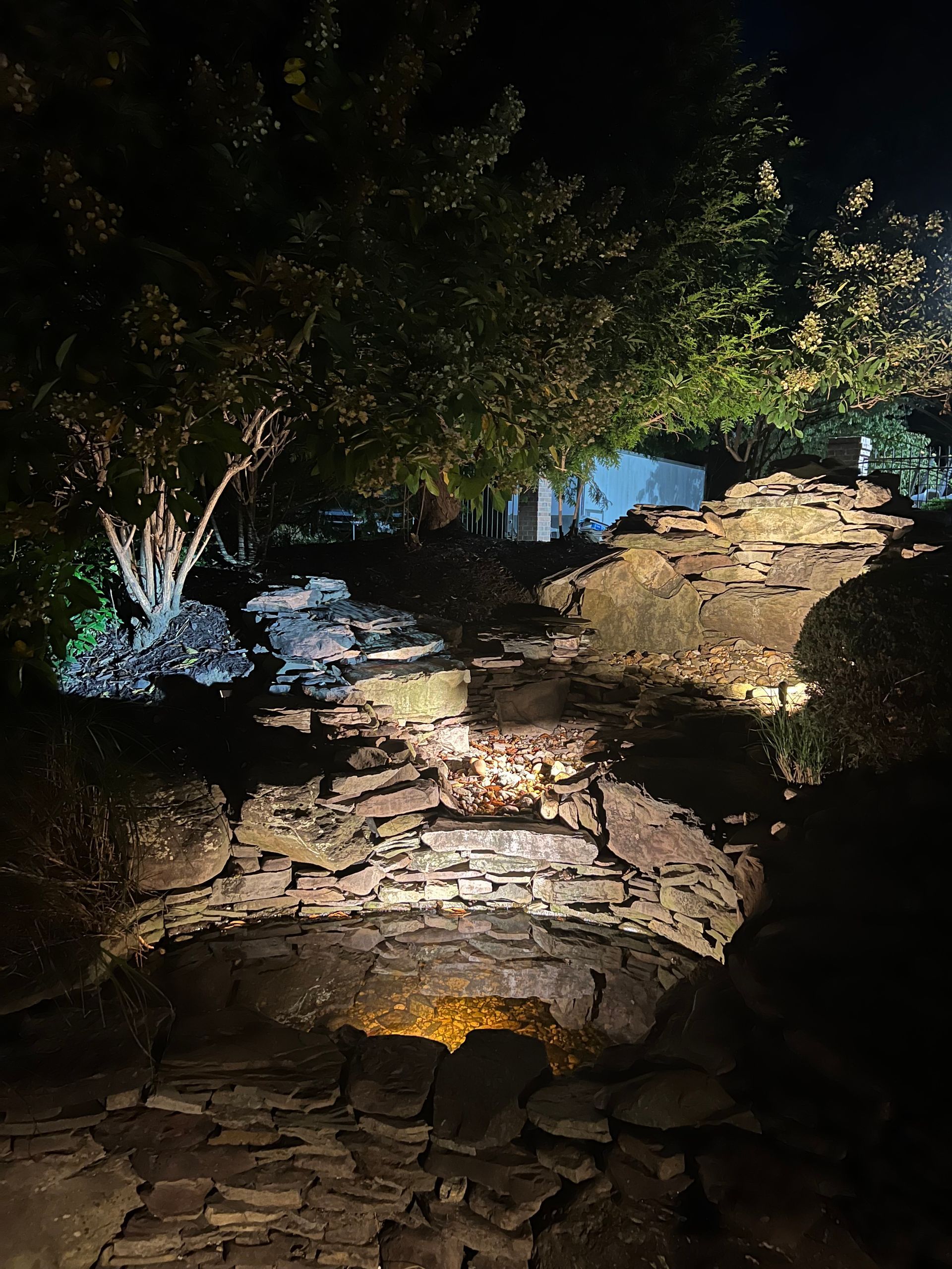 Rocky nighttime trail lit by flashlights under trees, with a stone path and dark foliage.