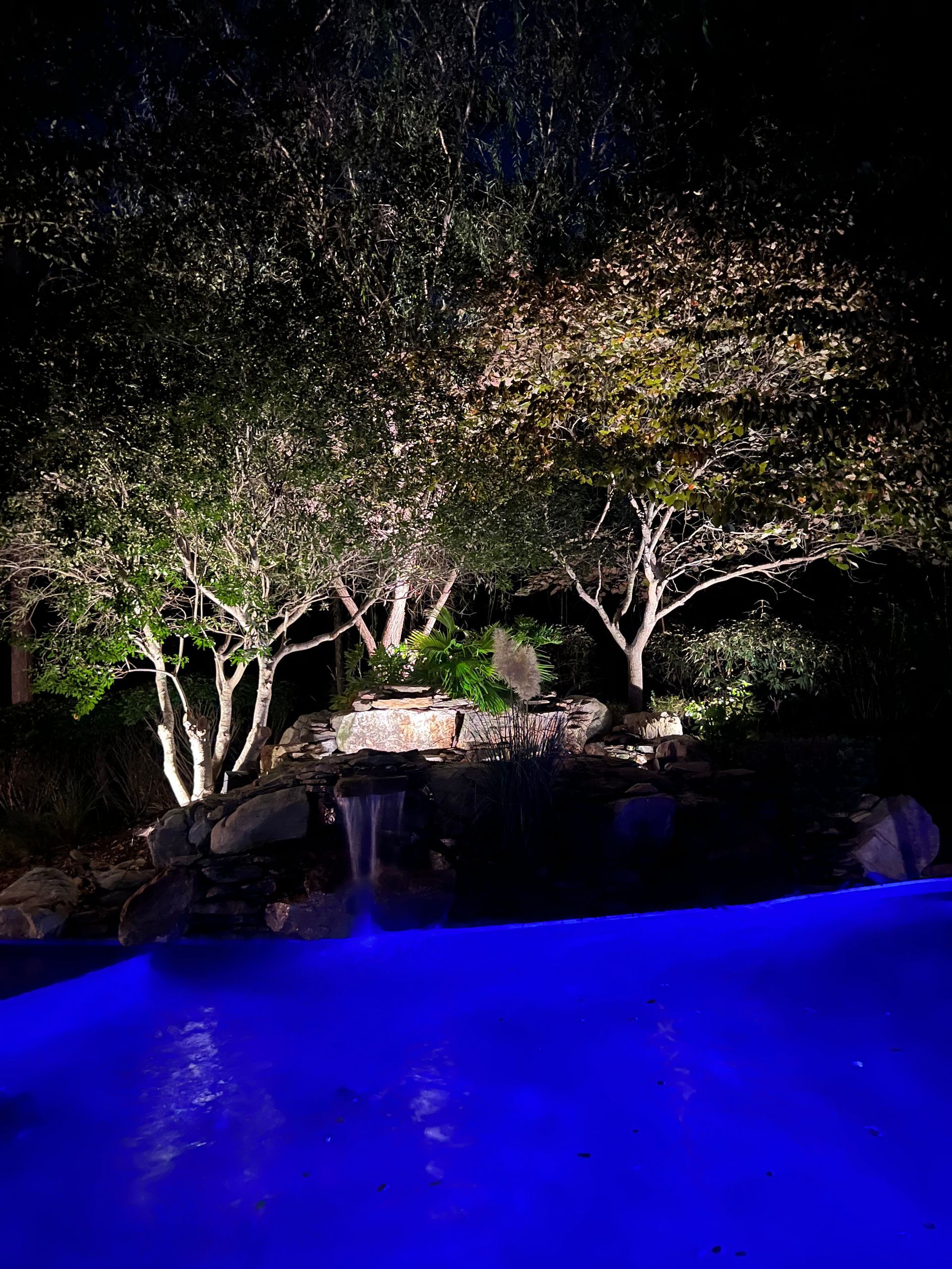 Night pool with blue-lit water and trees illuminated against a dark sky