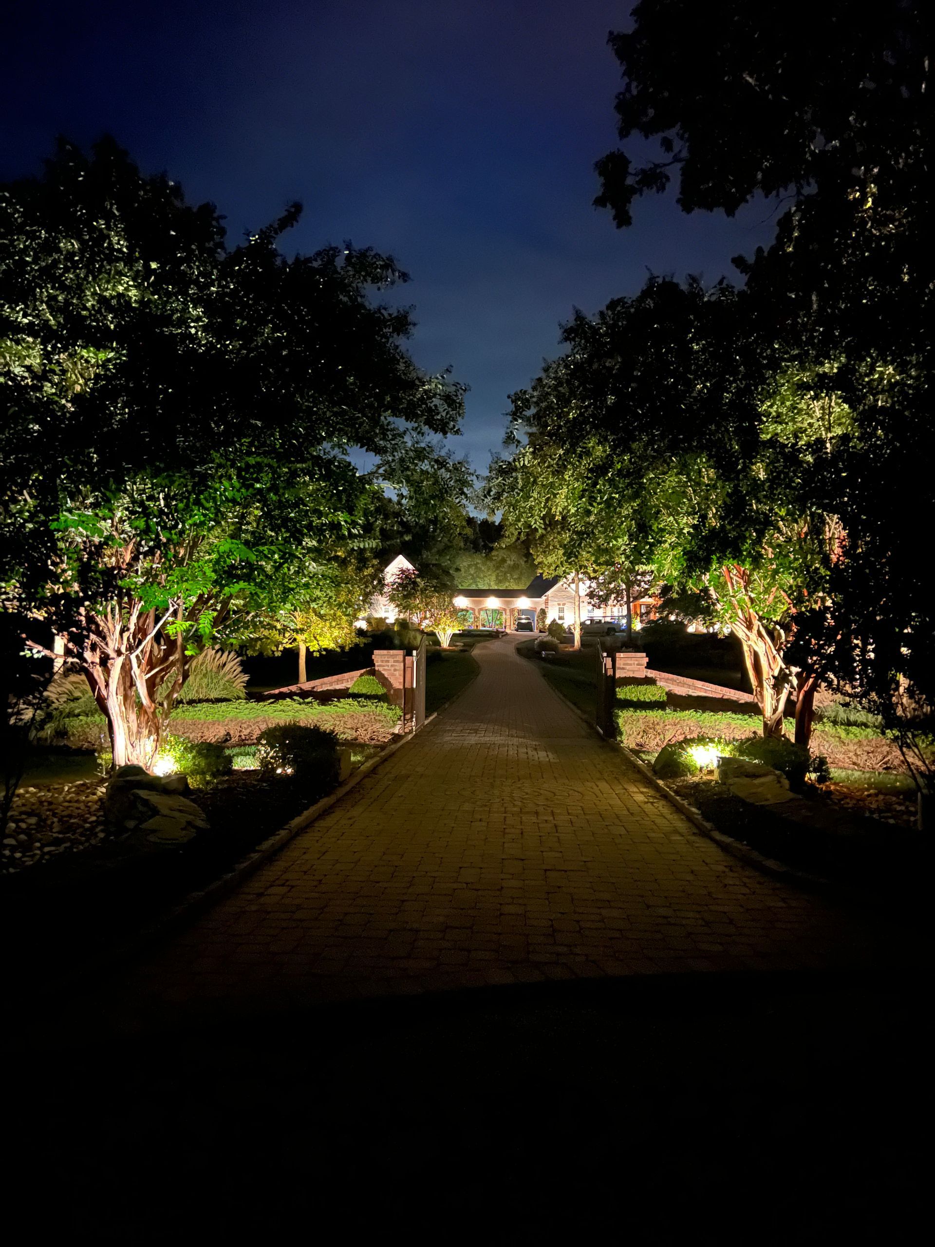 Illuminated garden walkway at night with trees, hedges, and lights lining a path to a building.