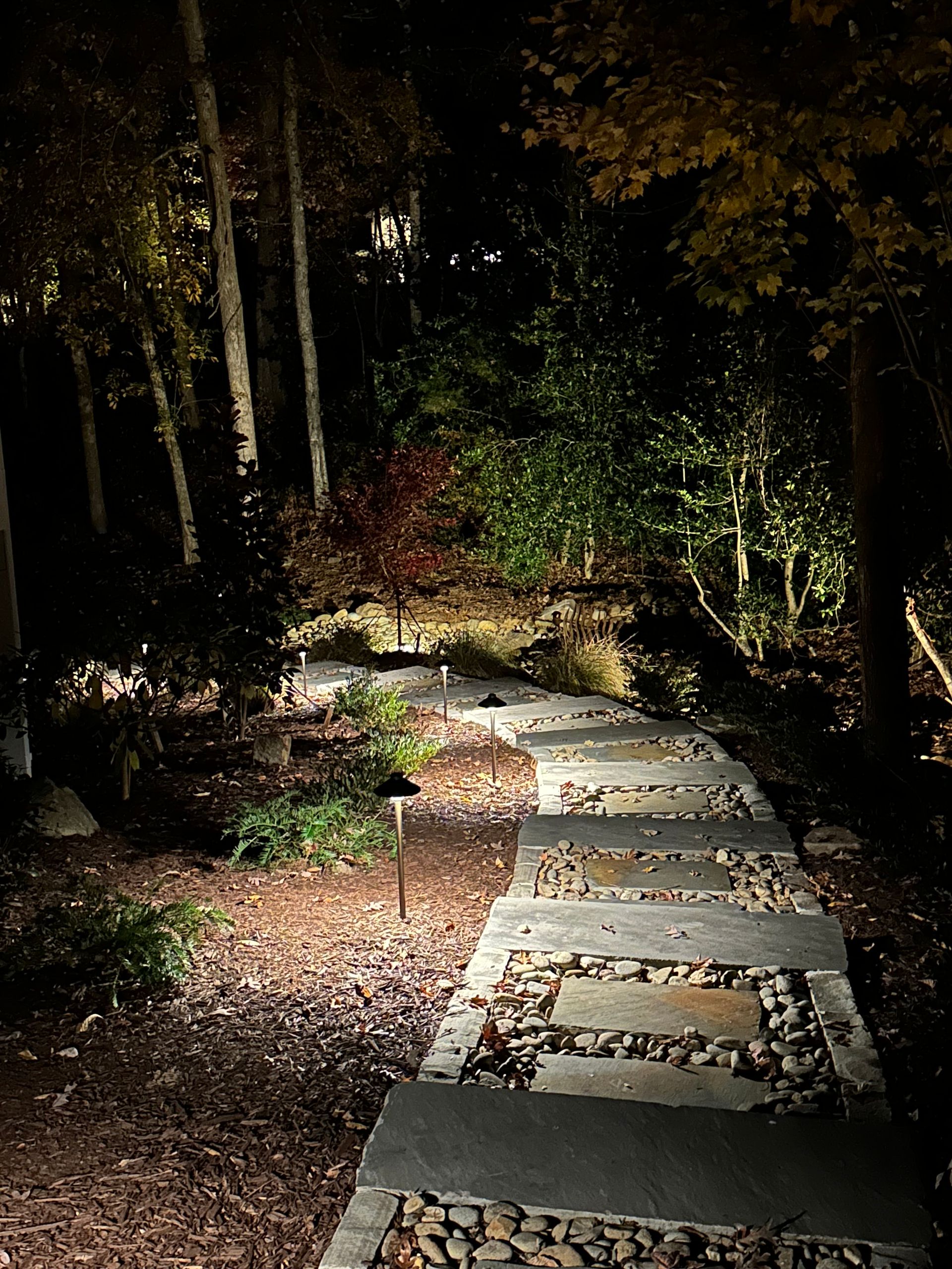 Curved stone path lit by warm lights through a wooded garden at night