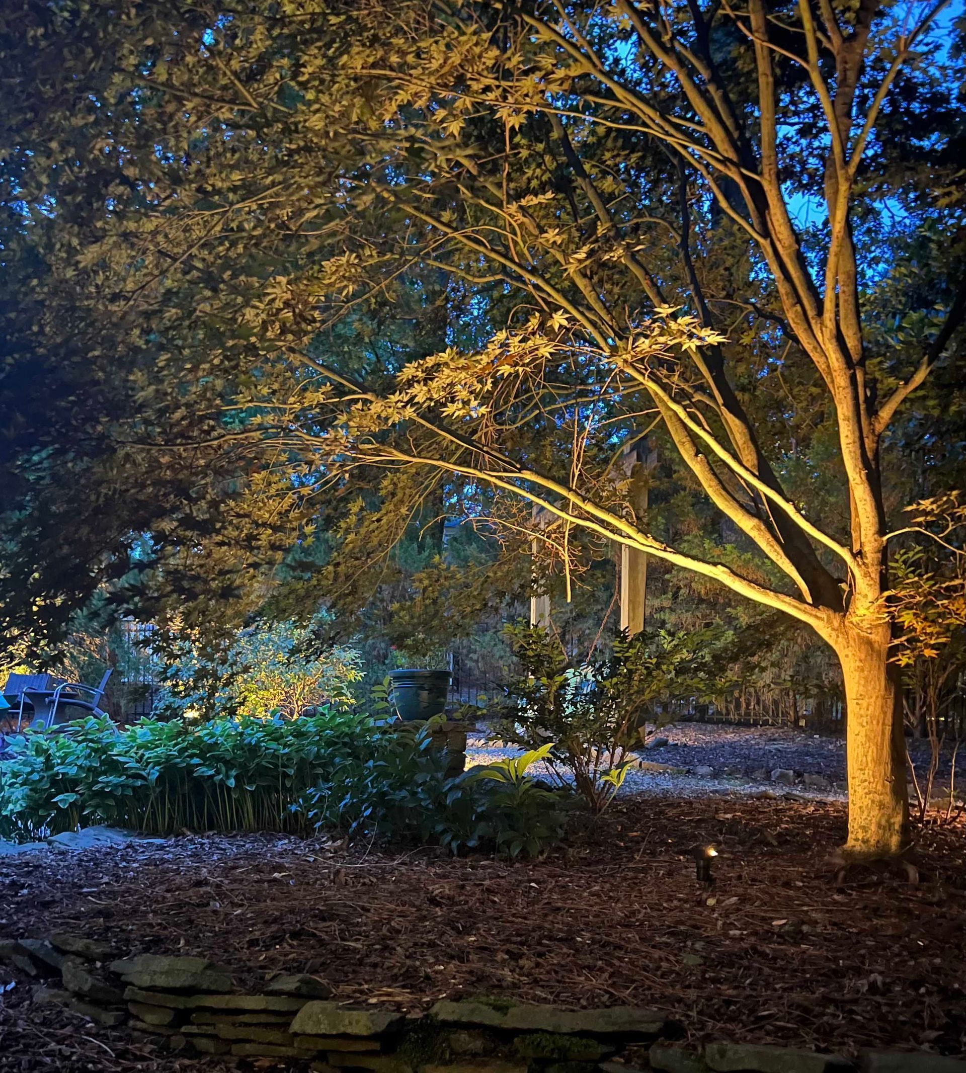 Tree-lit park at night with warm yellow lights, blue shadows, and fallen leaves on the ground