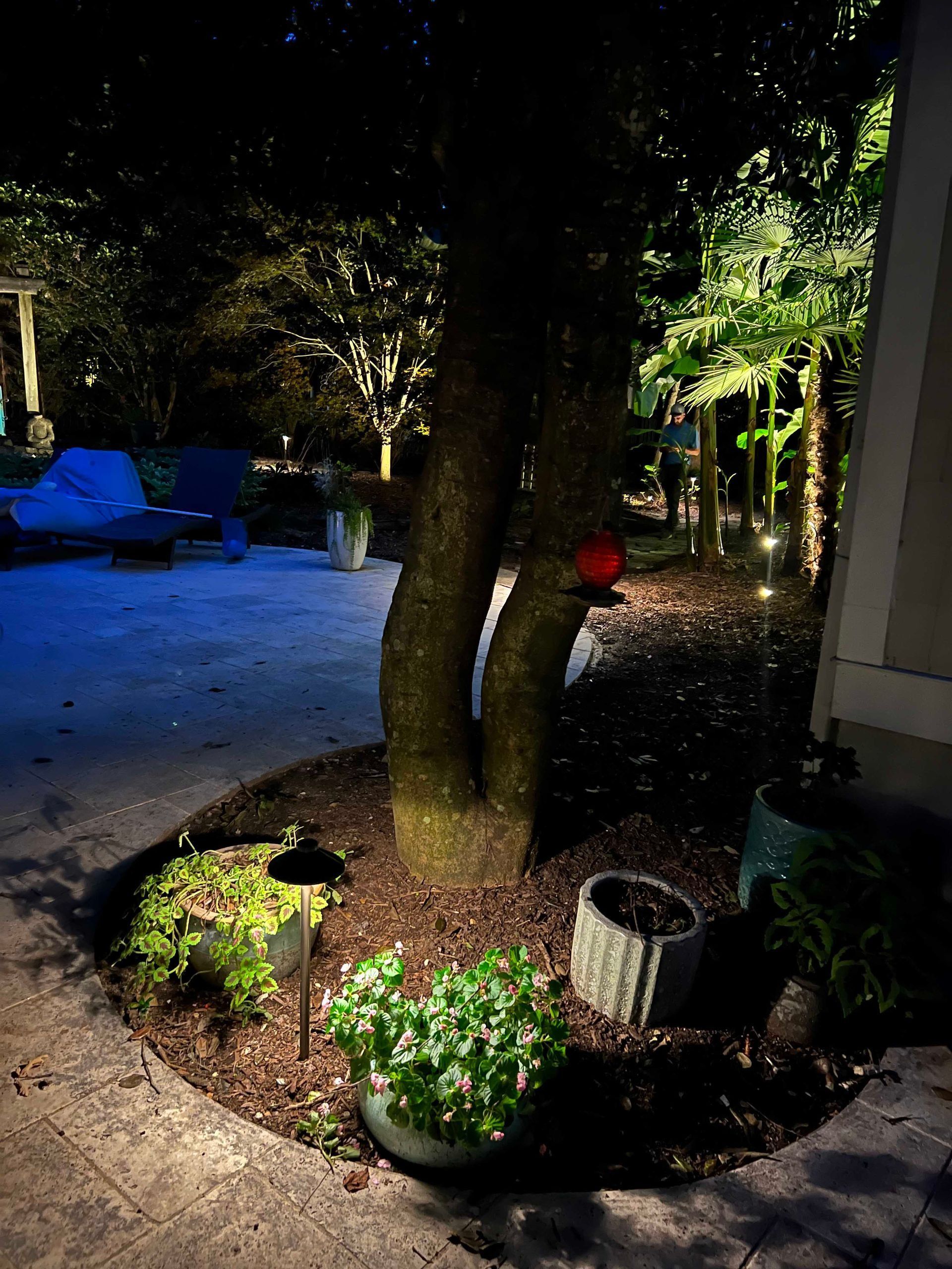 Lit courtyard garden with a tree, flower beds, and blue-lit seating area at night