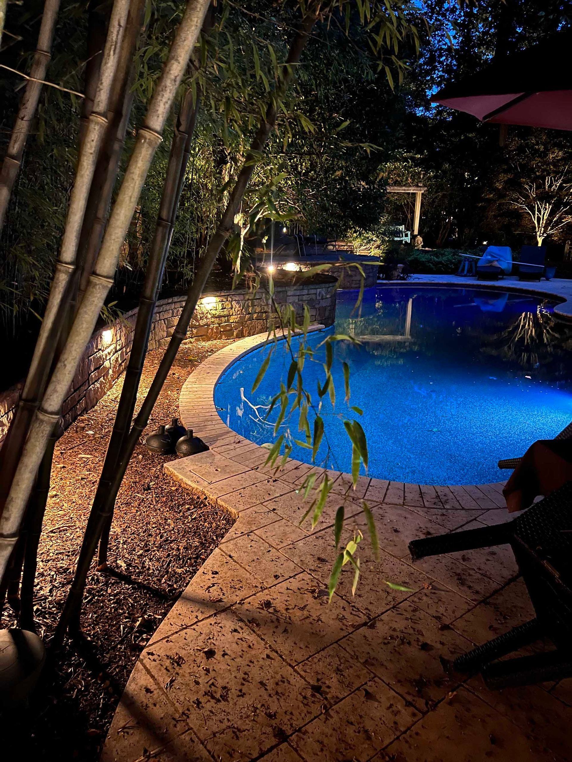 Blue-lit pool at night with bamboo, stone patio, and surrounding garden lights