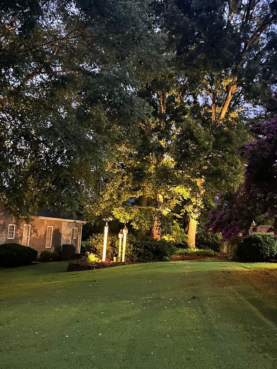 Dimly lit garden lawn with large trees, shrubs, and stone wall at dusk