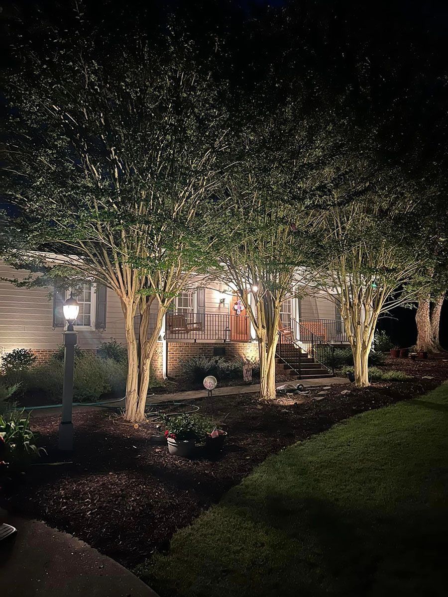 Landscaped front yard at night with lit trees and a house porch in the background