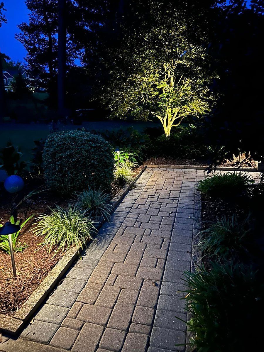 Brick garden path lit by landscape lights, with shrubs and a glowing tree at night