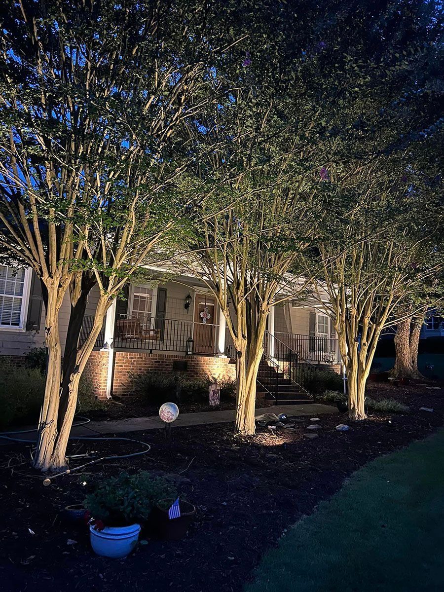 Lit front yard with small trees, a porch, and a blue bucket at dusk
