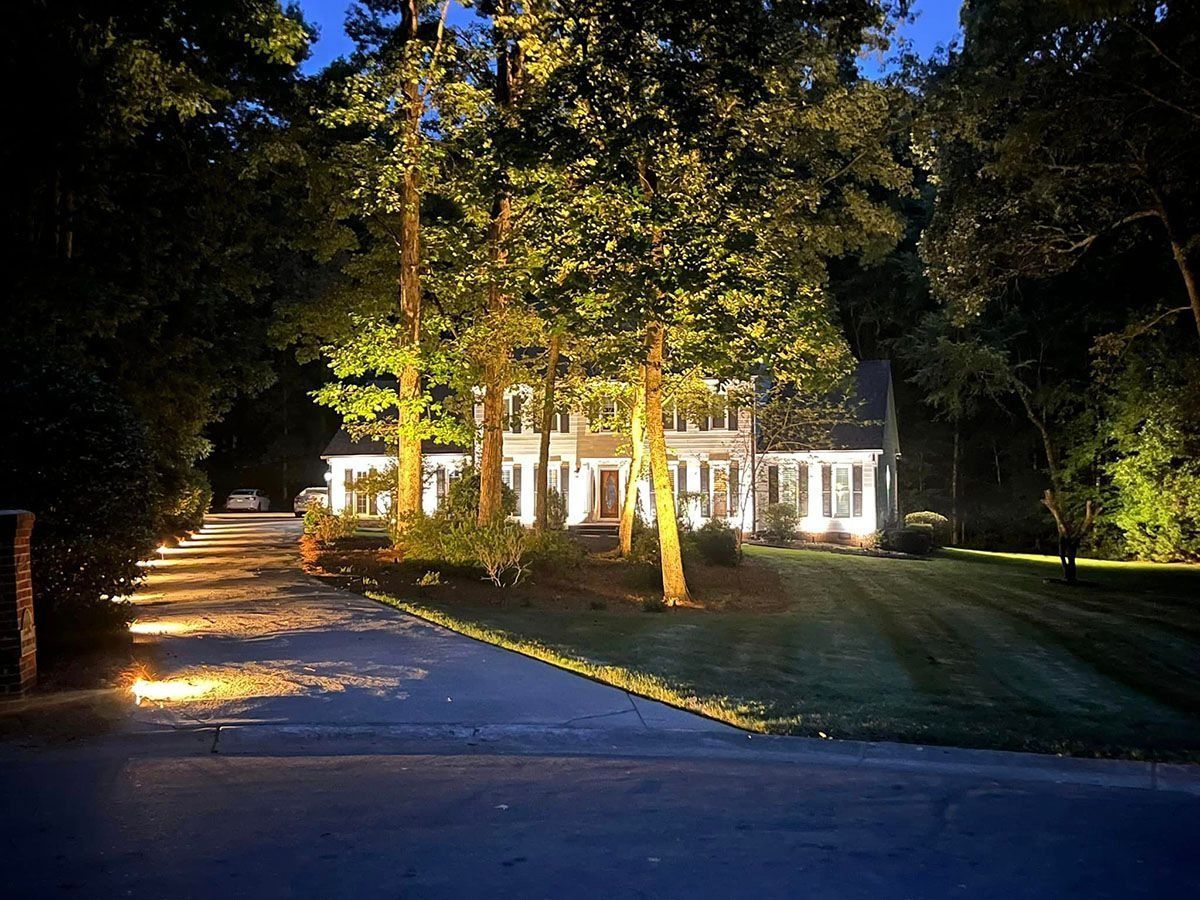 Illuminated white house at night, seen through trees along a lit driveway