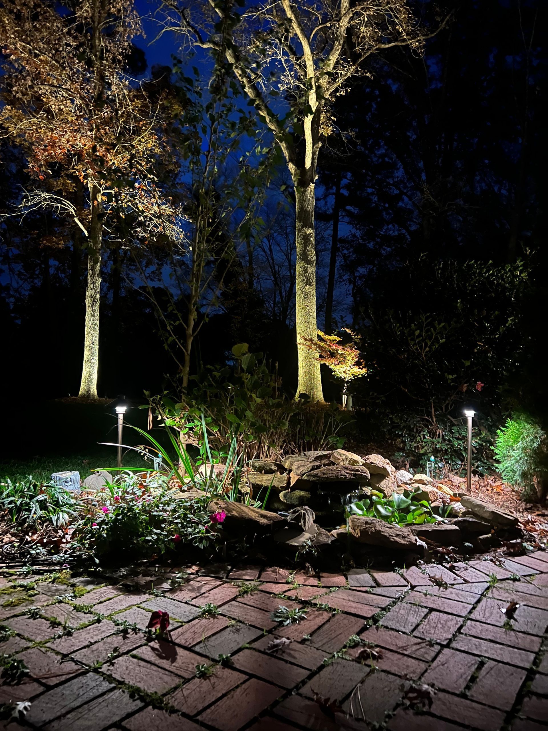 Night garden with lit trees, flower beds, and a brick patio or path