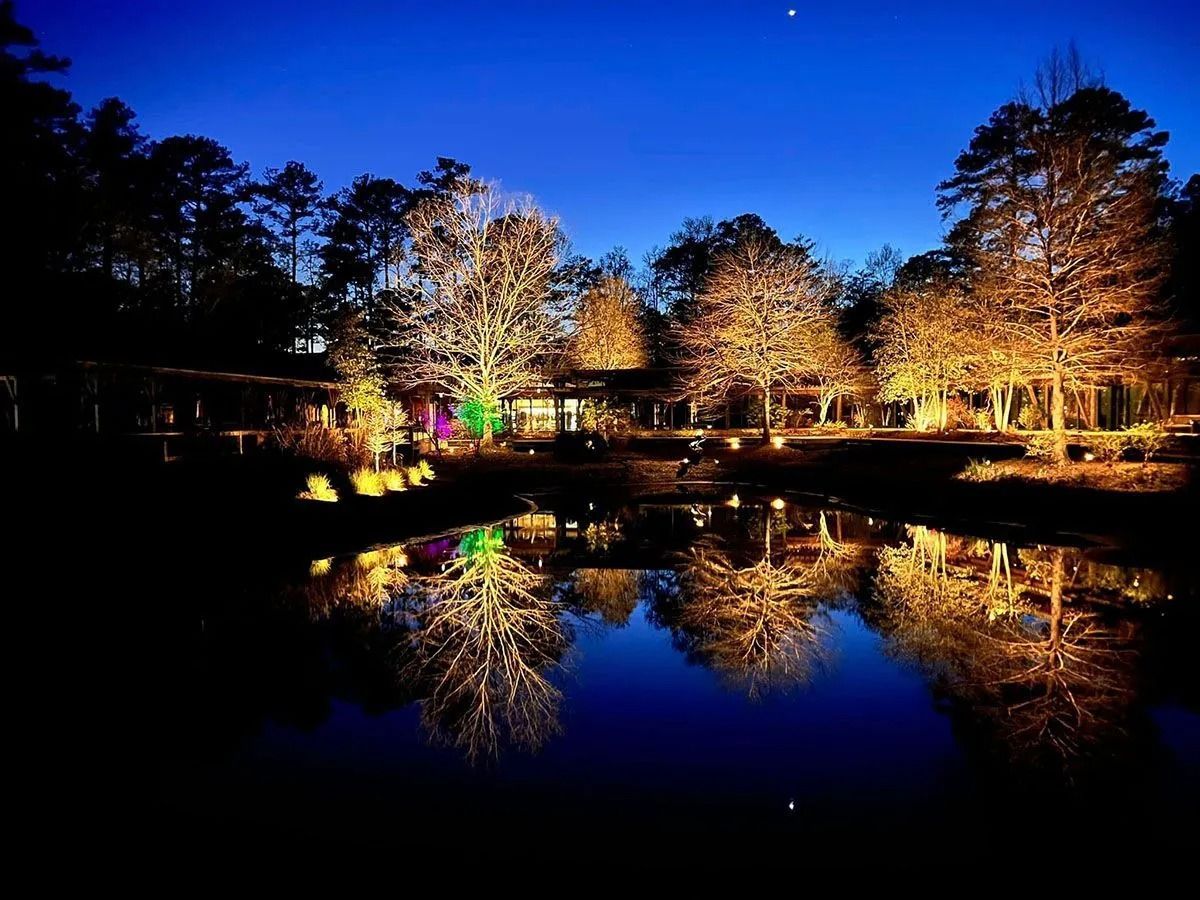Illuminated trees reflected in a calm pond at night under a deep blue sky