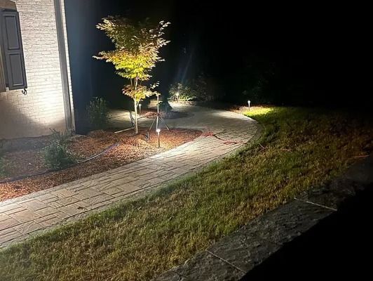 Nighttime walkway beside a house, lit by a spotlight with a small tree and a grassy slope.