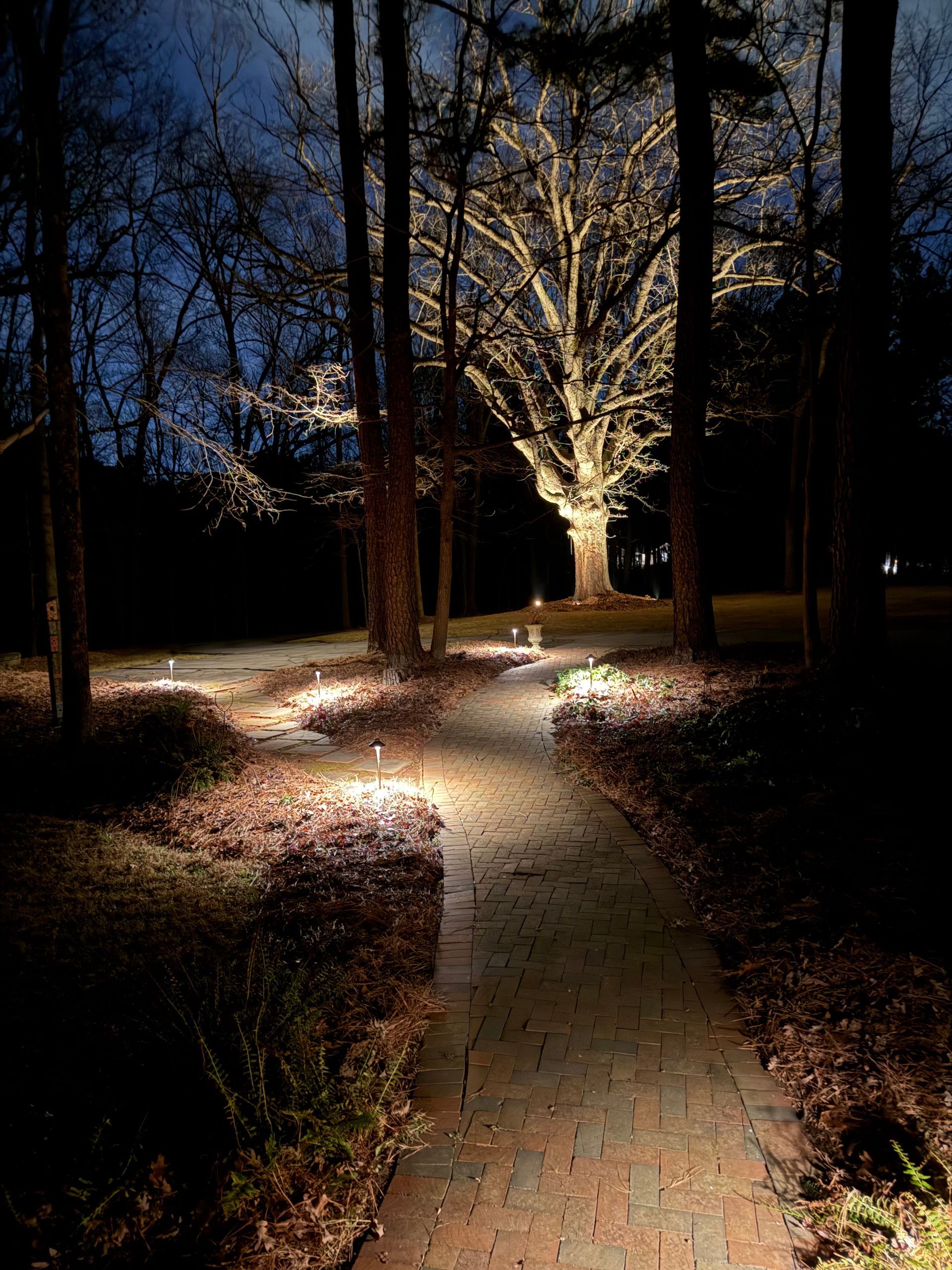 Illuminated brick path through a dark wooded park at night, with lit trees ahead