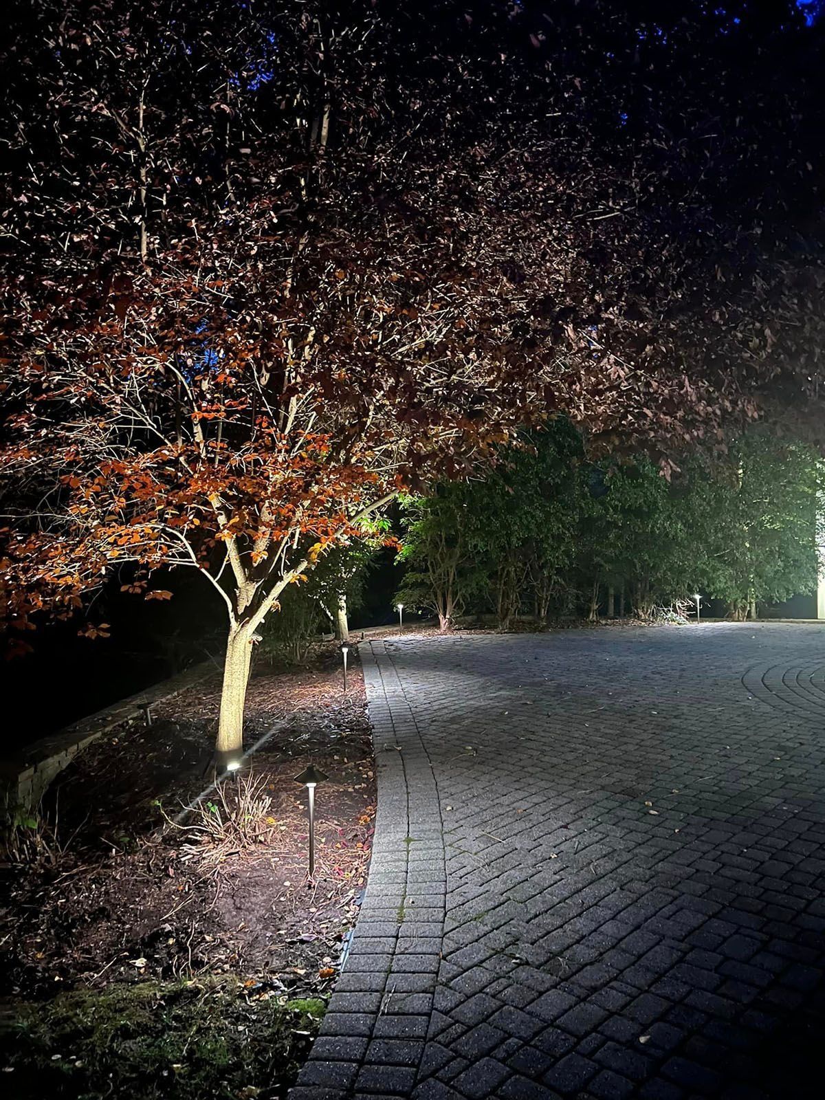 Nighttime park path lined with trees and lit by a ground spotlight, with a bright paved walkway curving right