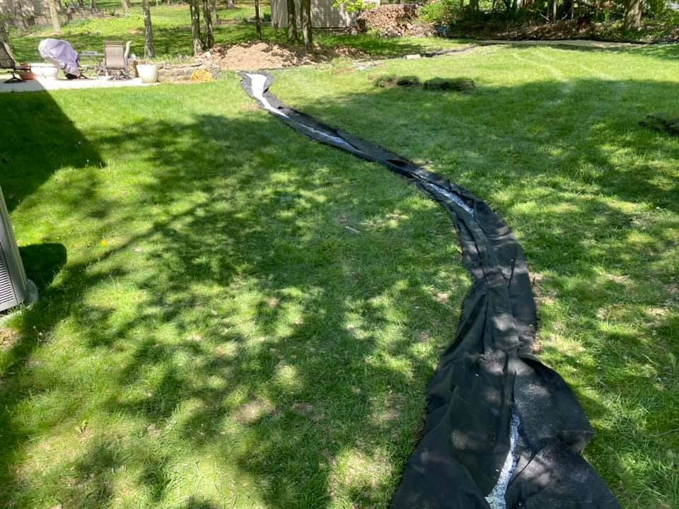 A hose is laying on the grass in a backyard.
