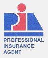 Professional Insurance Agent