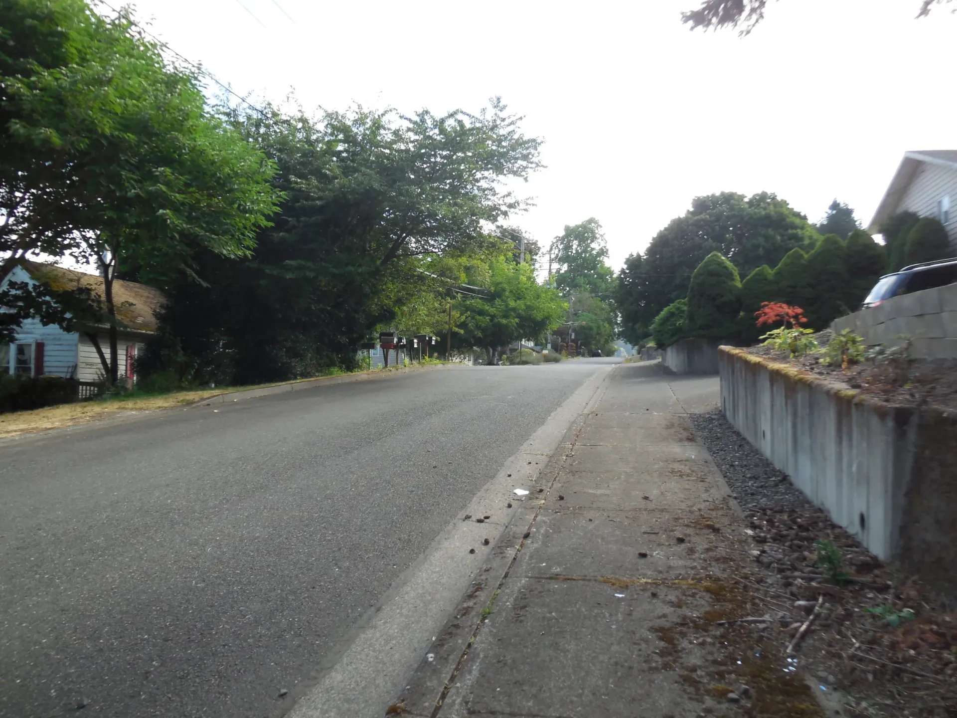 A paved street lined with trees, a sidewalk, and a concrete retaining wall under an overcast sky.
