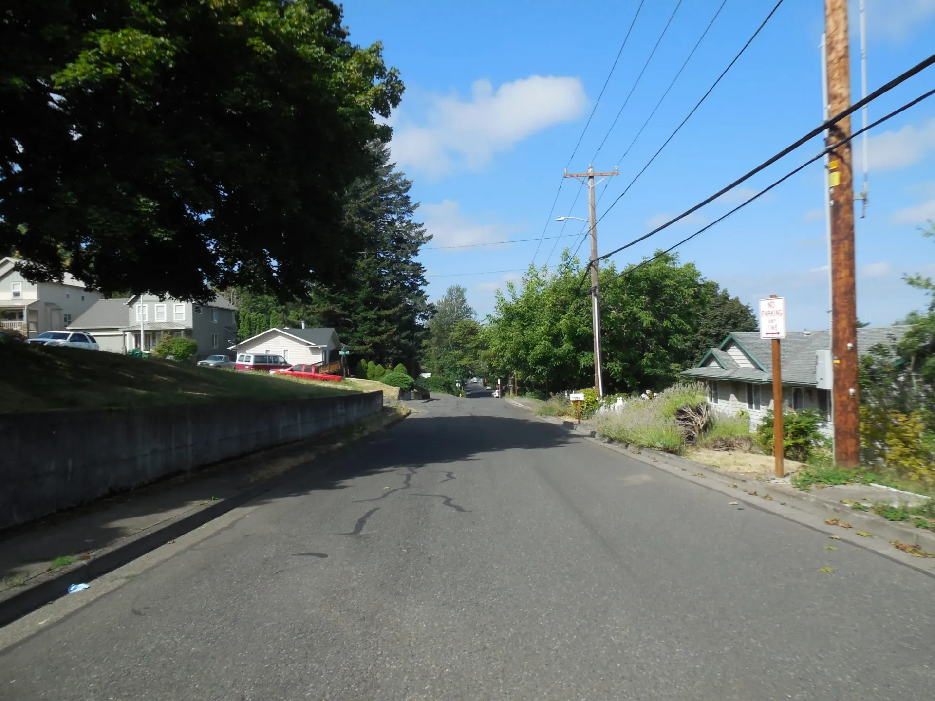 A quiet residential street with a paved road, trees, houses, and a wooden utility pole under a blue, sunny sky.