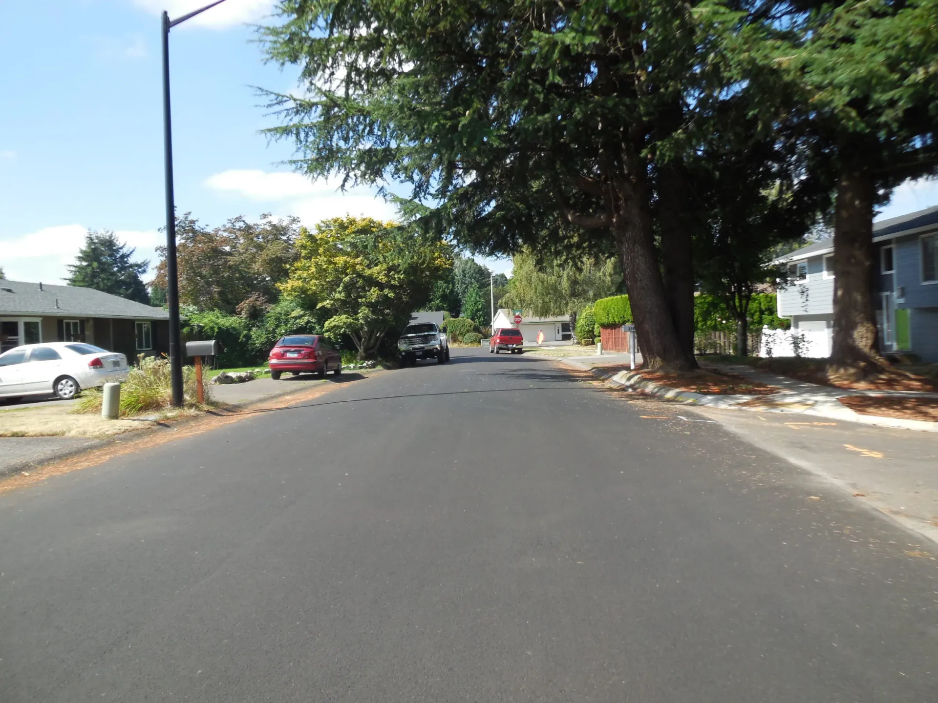 A paved residential street lined with large trees, houses, and parked cars under a bright, clear blue sky.